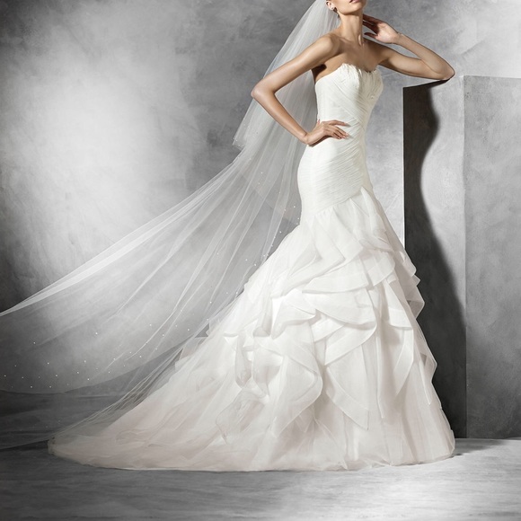 Pronovias Ledurne Wedding Dress - Picture 6 of 7